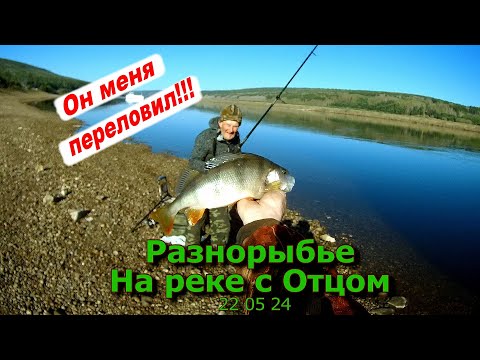 Разнорыбье На реке с Отцом 22 05 24