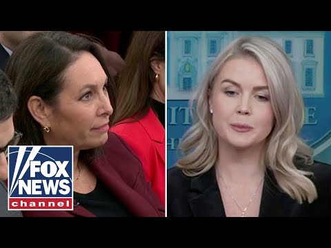 Leavitt SPARS with reporter after Trump calls Dems 'traitors'