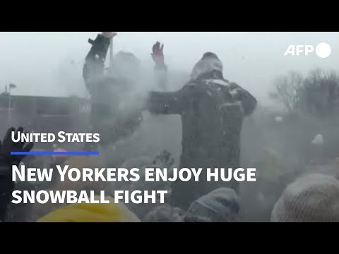 'A little bit of levity': massive snowball fight breaks out in storm-hit New York | AFP