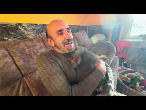 Lucy and Anfisa got along so well that Anfisa is even JEALOUS of her, like everyone else.