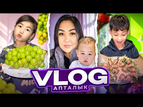 АЛИНУР КЛУБНИКА 🍓 В ШОКОЛАДЕ 🍫ЖАСАДЫ😍АУЫЛҒА ҚЫДЫРДЫҚ МАРҒОШТАЙ ЕКЕУМІЗ🙌🏻🐐🐈🫏🐄🦮