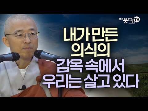내가 만든 의식의 감옥 속에서 우리는 살고 있다 | 목탁소리 | 즉문즉설 | 마음공부 | 법상스님의 영가현각 증도가 109회(55_1)