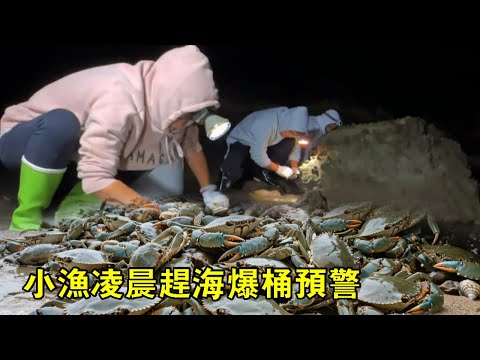 凌晨趕海爆桶預警！辣螺窩直接一抓一把，螃蟹滿地跑抓到停不下來【漁小仙】