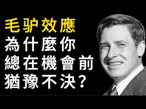 選擇越多越痛苦？《選擇的悖論》解讀現代版布里丹驢毛效應