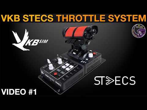 VKB STECS Throttle System (Vid 1 of 3)