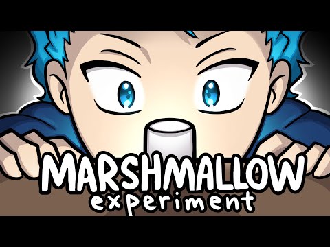 Can You Survive the Marshmallow Experiment? | DanPlan Animated