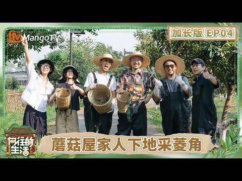 【加长版】《向往的生活-戏如人生》EP4：蘑菇屋家人们带李诞付航下地采菱角 黄磊贴心给何炅手磨咖啡 彭昱畅第一次喊张子枫大名？ 兄妹日常看不够！ | Back To Field | MangoTV