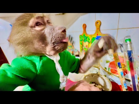 Степа пришел домой и устроил ИНВЕНТАРИЗАЦИЮ ПРОДУКТОВ, Кеша и Жорик устроили кипишь)