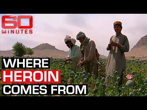 Inside Afghanistan's booming opium trade | 60 Minutes Australia