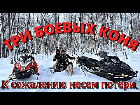 Деревенские будни/ К сожалению потеряли еще одного жеребенка/ КФХ Идиятуллин