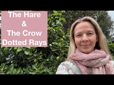 The Hare & The Crow Dotted Rays + Mexico Cruise - Mostly Knitting Podcast