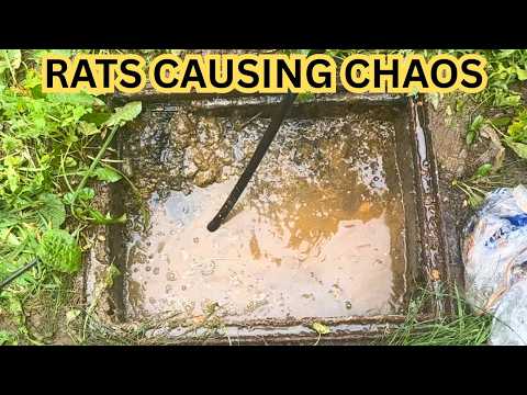 Dirty Drain Nightmare Solved in 30 Minutes