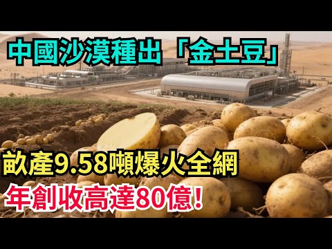 中國沙漠種出「金土豆」！畝產9.58噸爆火全網，年創收高達80億！【八哥說世界】#科普 #沙漠 #超級工程 #建造 #熱門 #中國基建 #沙漠工程 #中国基建 #水利工程