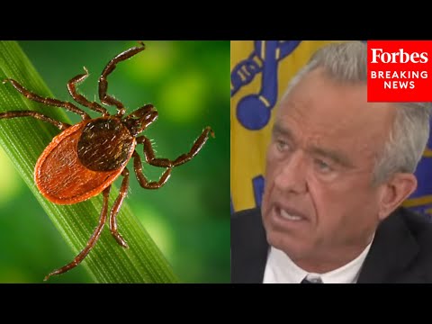 RFK Jr. Holds Health And Human Services Roundtable Event On Addressing Lyme Disease In America