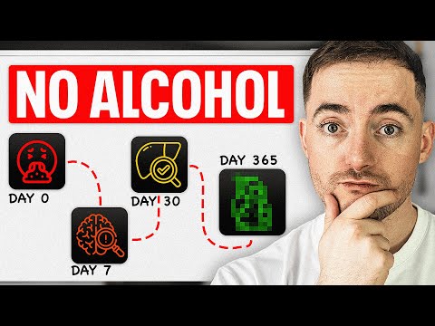 Quit Drinking Alcohol Timeline Days 0 to 365. Here’s Exactly What To Expect….