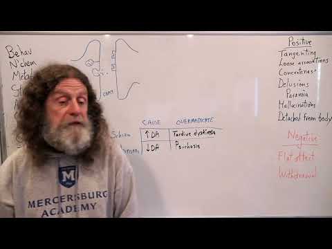 30-Schizophrenia - Robert Sapolsky's Human Behavioral Biology