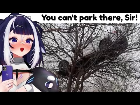 Shylily Watches Daily Dose Of Internet