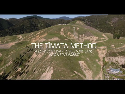 Restoring land into native forest - The Tīmata Method