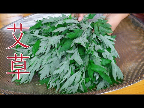 Mugwort: 98-Year-Old Grandma's Secret to Longevity! ヨモギ：98歳のおばあさんの長壽の秘訣！쑥: 98세 할머니의 장수 비결! 長壽草艾草健康秘訣