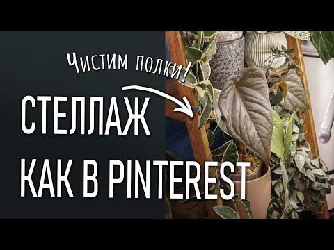 A PINTEREST-LIKE SHELVING. Organizing my shelves.