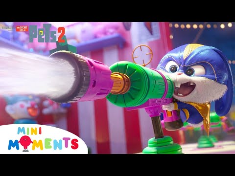 Most Iconic Moments From The Secret Life Of Pets 2! 😲🐶🌟 | The Secret Life Of Pets 2 | Comp