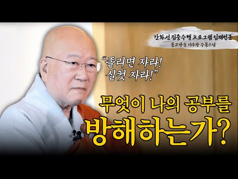 [특집] 간화선 수불스님 입재법문 "졸리면 자라!! 원인을 모르고 문제에 갇히지 말라!" #내면의발견