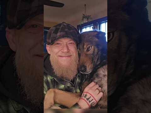 Did Honey Badger Give It The Paw Of Approval?🤔- SWISHER APPAREL NEVERMORE Review: