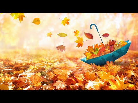 3 Hours Relaxing Morning Music in Autumn 🎵 Meditation Music, Yoga, Healing (Autumn Life) 