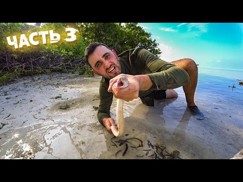 Выживание! [3-Часть] Поймал и съел мурену. Сделал гамак из мусора.
