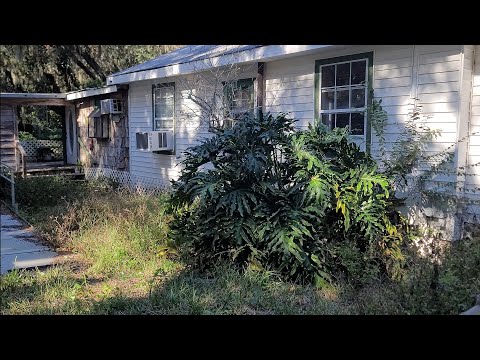 They FOUGHT Over the House... But no one CARED for the YARD