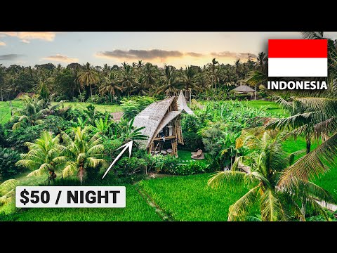 Sleeping in Bali's Best Bamboo Villa! (overlooking ricefields)