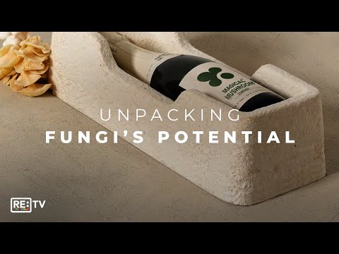 Replacing Plastic Packaging With Mycelium
