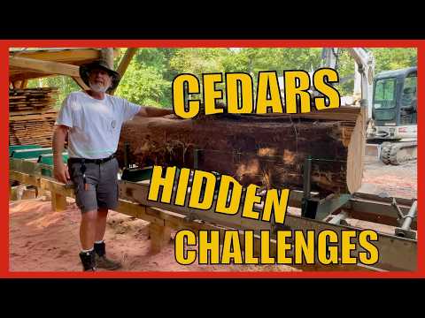 The Sawmill's Secret to Conquering Extreme Cedar Logs