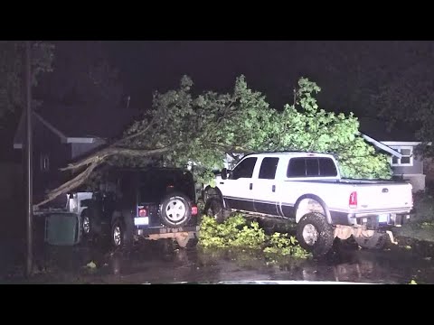 Pond Creek sees significant tree damage during intense overnight storms