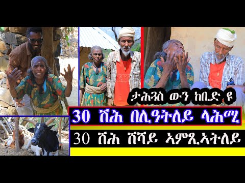 #መጠን #ታሕጓሱ ከቢድ ዩ 30 ሽሕ በሊዓትለይ ላሕሚ 30 ሽህ ሺሻይ ኣምጺኣትለይ ላሕመይ