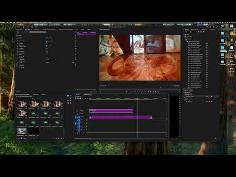 Art 300: Titles, Transitions, and SFX (re-upload)