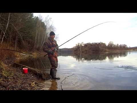 PIKE DAY. FLOAT TACKLE for catching predators. Fishing with live bait.