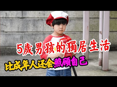5岁小男孩租房独居，洗衣做饭全靠自己，背后的故事让人心酸！温情日剧《小太郎一个人生活》第一季解说！