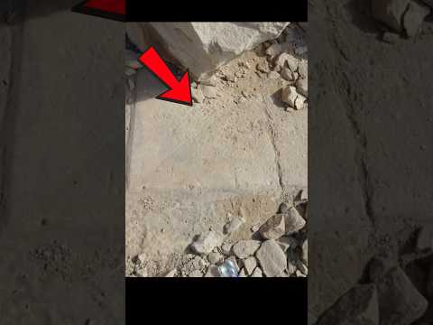 Can You See It?? 👀