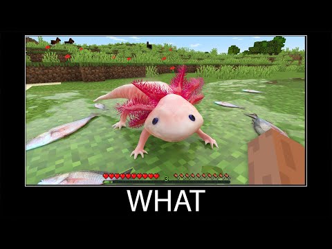 Minecraft wait what meme part 151 realistic minecraft axolotl