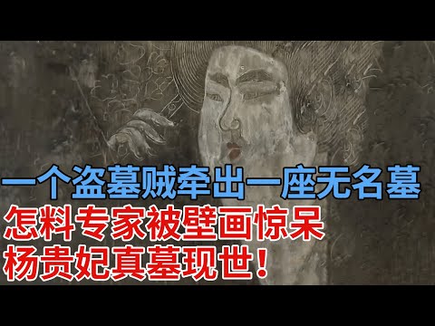 一个 盗墓贼意外牵出一座无名墓，怎料体量巨大壁画精美，专家被眼前惊呆，竟是杨贵妃真墓现世！【解密】