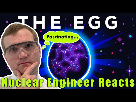 Nuclear Engineer Reacts to Kurzgesagt "The Egg - A Short Story by Andy Weir"