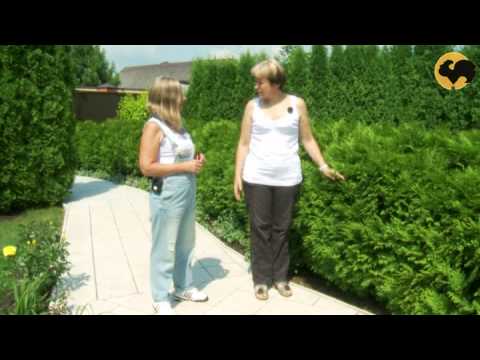 Игры с пространством.Ландшафтные хитрости 82