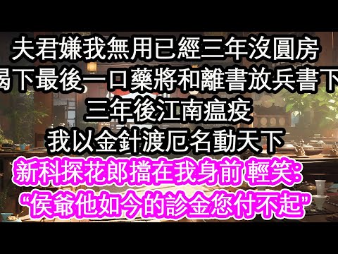 夫君嫌我無用已經三年沒圓房，喝下最後一口藥將和離書放兵書下， 三年後江南瘟疫，我以金針渡厄名動天下，他為了妾室來求我救人一命，新科探花郎擋在我身前 輕笑：“侯爺他如今的診金您付不起”【花開】【愛情】