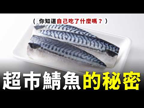 如果妳有去過生鮮超市買「冷凍鯖魚片」的話，那...我覺得你應該看這部影片 !