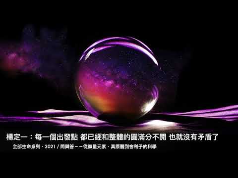 楊定一：每一個出發點，都已經和整體的圓滿分不開，也就沒有矛盾了－從微量元素、真原醫到舍利子的科學 (1)
