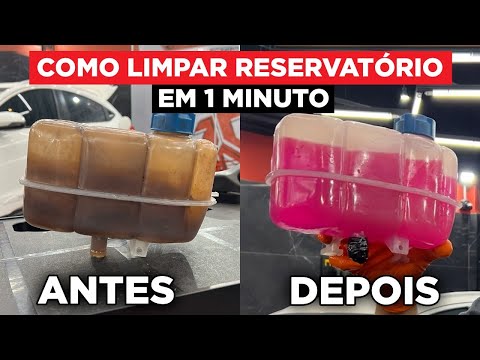 HOW TO CLEAN YOUR CAR'S WATER TANK | Simple and Quick