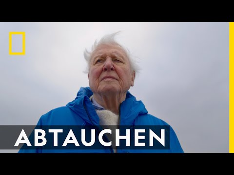 Endlich Licht ins Dunkel bringen | Ozeane mit David Attenborough
