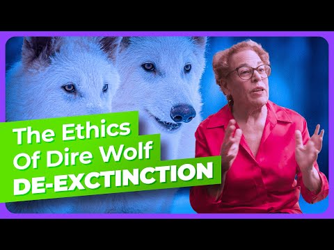 Why Bring Back the Dire Wolf?
