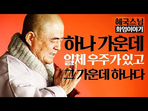 법문🙏|#혜국스님| 하나 가운데 일체 우주가 있고 그 가운데 하나가 있다 #화엄이야기 (16회)